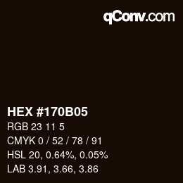 Color code: HEX #170B05 | qconv.com