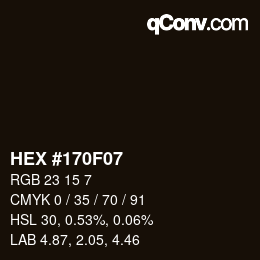 Color code: HEX #170F07 | qconv.com