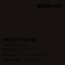 Color code: HEX #17120F00 | qconv.com