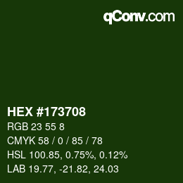 Color code: HEX #173708 | qconv.com