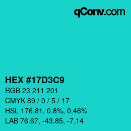 Color code: HEX #17D3C9 | qconv.com
