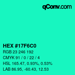 Color code: HEX #17F6C0 | qconv.com