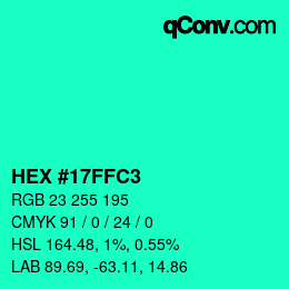 Color code: HEX #17FFC3 | qconv.com