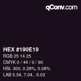 Color code: HEX #190E19 | qconv.com