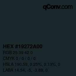 Color code: HEX #19272A00 | qconv.com