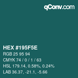 Color code: HEX #195F5E | qconv.com