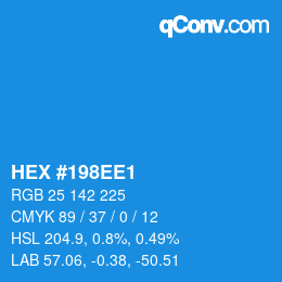 Color code: HEX #198EE1 | qconv.com