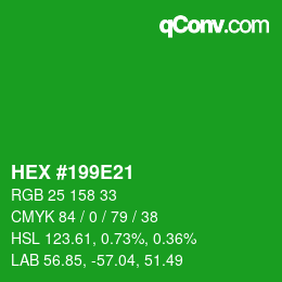Color code: HEX #199E21 | qconv.com