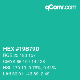 Color code: HEX #19B79D | qconv.com