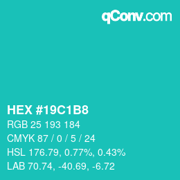 Color code: HEX #19C1B8 | qconv.com