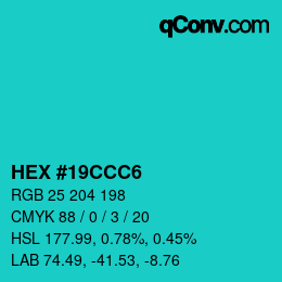 Color code: HEX #19CCC6 | qconv.com