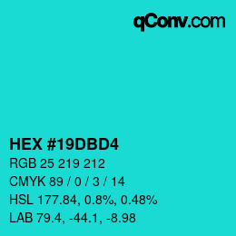 Color code: HEX #19DBD4 | qconv.com