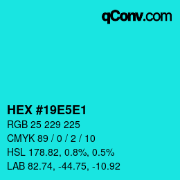 Color code: HEX #19E5E1 | qconv.com