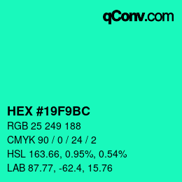 カラーコード: HEX #19F9BC | qconv.com