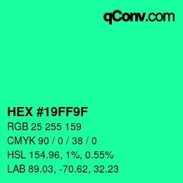 Color code: HEX #19FF9F | qconv.com