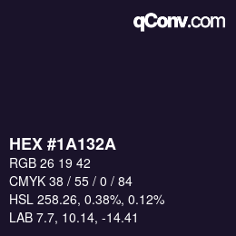 Color code: HEX #1A132A | qconv.com