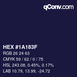 Color code: HEX #1A183F | qconv.com