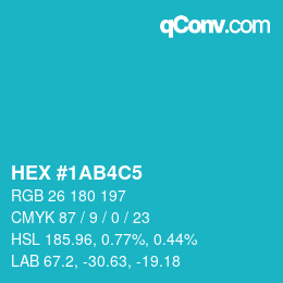 Color code: HEX #1AB4C5 | qconv.com