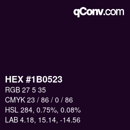 Color code: HEX #1B0523 | qconv.com
