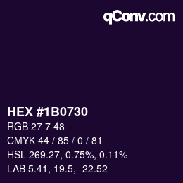 Color code: HEX #1B0730 | qconv.com