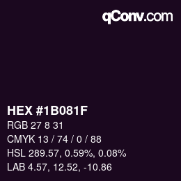 Color code: HEX #1B081F | qconv.com