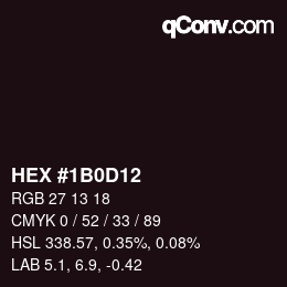 Color code: HEX #1B0D12 | qconv.com