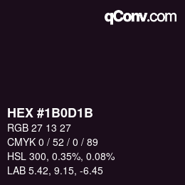 Color code: HEX #1B0D1B | qconv.com