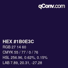 Color code: HEX #1B0E3C | qconv.com