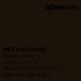 Color code: HEX #1B120A00 | qconv.com