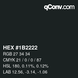 Color code: HEX #1B2222 | qconv.com