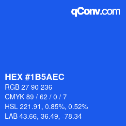Color code: HEX #1B5AEC | qconv.com