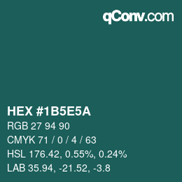 Color code: HEX #1B5E5A | qconv.com