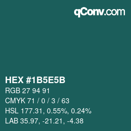 Color code: HEX #1B5E5B | qconv.com