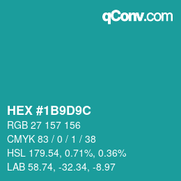 Color code: HEX #1B9D9C | qconv.com