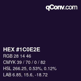 Color code: HEX #1C0E2E | qconv.com