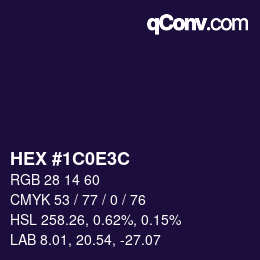 Color code: HEX #1C0E3C | qconv.com