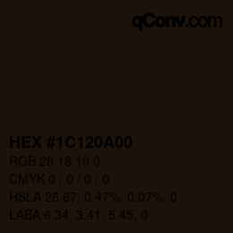 颜色代码: HEX #1C120A00 | qconv.com
