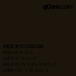颜色代码: HEX #1C150C00 | qconv.com