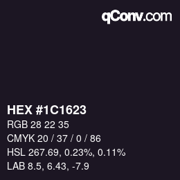 Color code: HEX #1C1623 | qconv.com