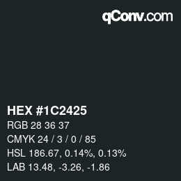 Color code: HEX #1C2425 | qconv.com