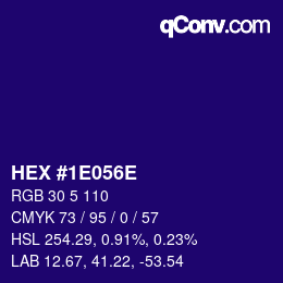 Color code: HEX #1E056E | qconv.com