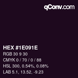 Farbcode: HEX #1E091E | qconv.com