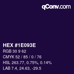 Color code: HEX #1E093E | qconv.com