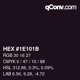 Color code: HEX #1E101B | qconv.com