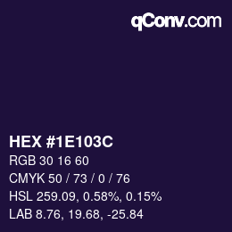 Color code: HEX #1E103C | qconv.com