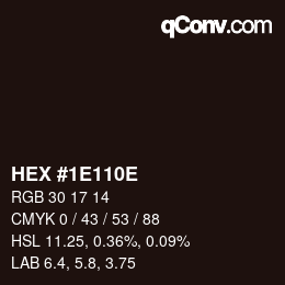 Color code: HEX #1E110E | qconv.com