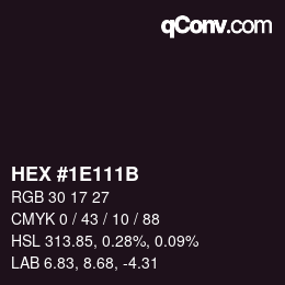 Color code: HEX #1E111B | qconv.com