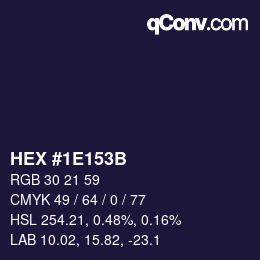 Color code: HEX #1E153B | qconv.com