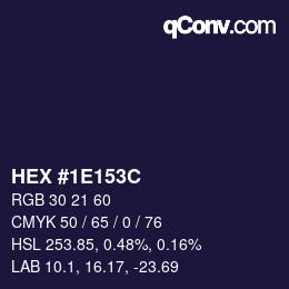 Color code: HEX #1E153C | qconv.com