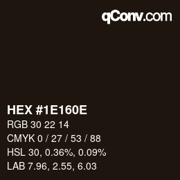 Color code: HEX #1E160E | qconv.com